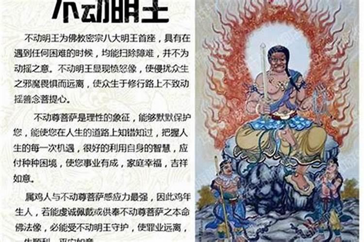 属鸡本命佛是什么佛？属鸡人更好的吉祥物是什么？