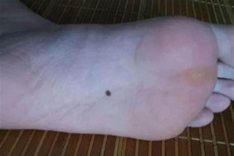 从八字看哪些人不适合考公从政当官