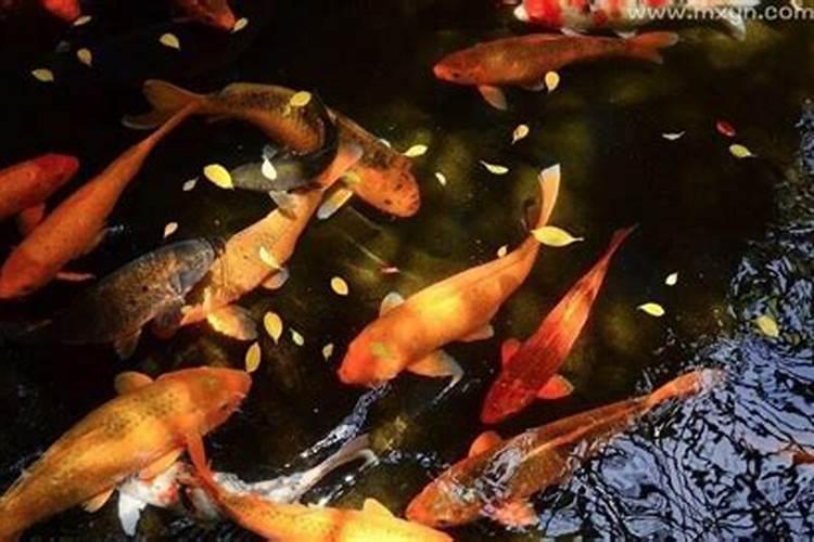 遇见小人拉帮结派,要置之我于死地怎么办？