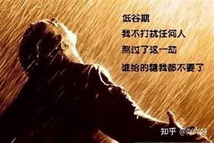 75年兔2025年运势