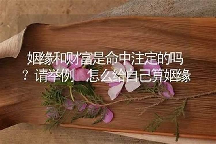 2025年属兔女运势及运程1987年生人