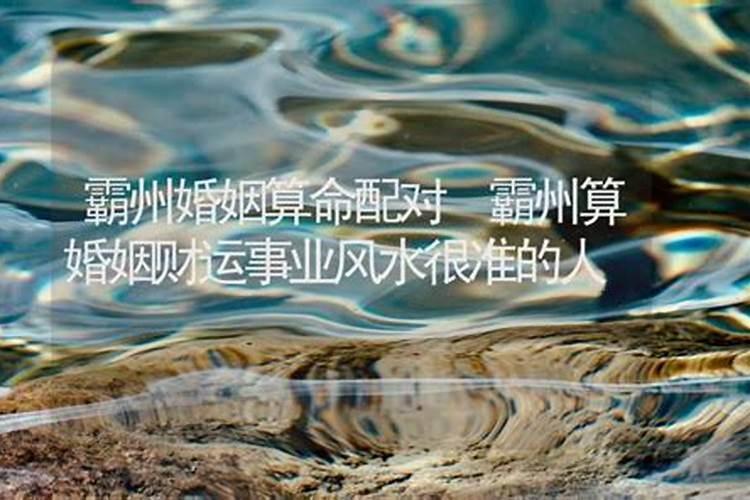 2024年属鸡和属狗的结婚吉日 2024年属鸡和属狗的结婚吉日是