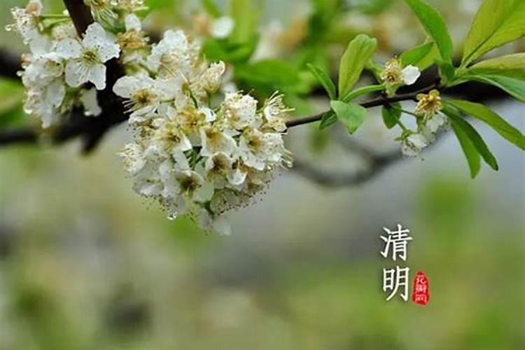 祭日和忌日的区别