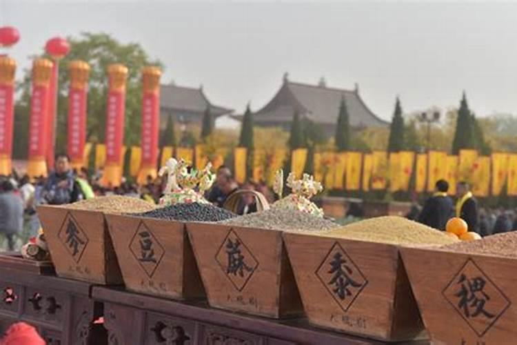 青岛中考志愿填报时间