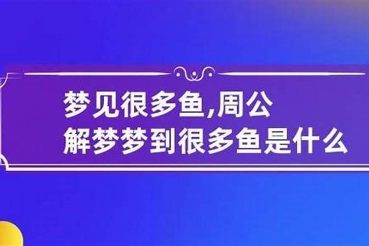 在鼠年犯太岁、冲太岁、刑太岁和害太岁要注意些什么？