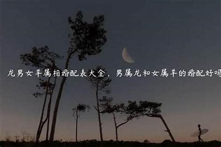 魅蓝5照相闪光灯怎么打开