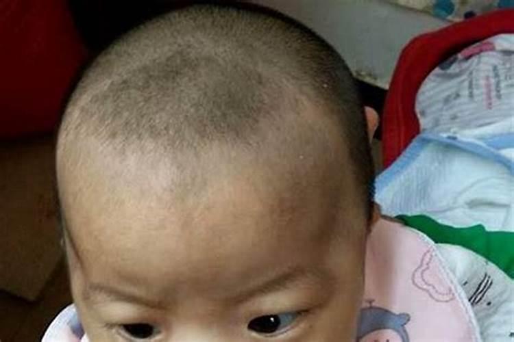生肖牛2025年运势及运程如何