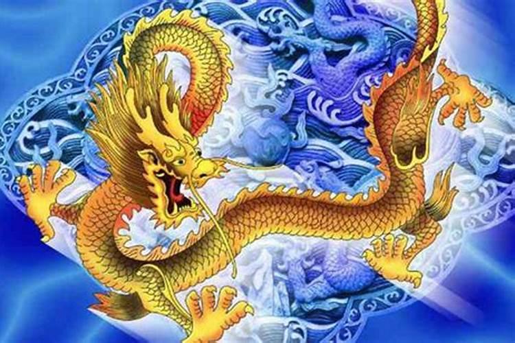 梦见龙在地上趴着