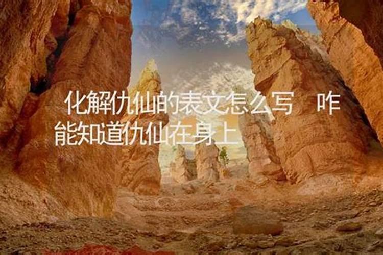 龙和蛇在一起财运好吗龙和蛇生肖可以在一起吗