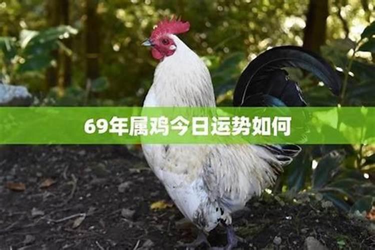 1984年属鼠的幸运色是什么色