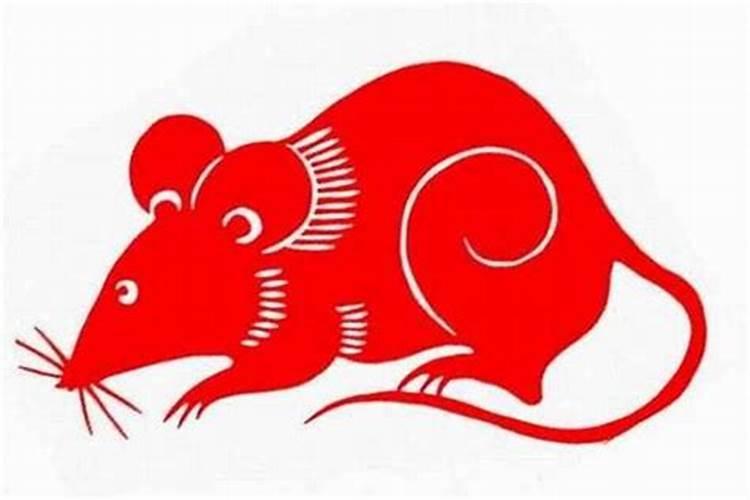 属兔的犯太岁应该带什么生肖？