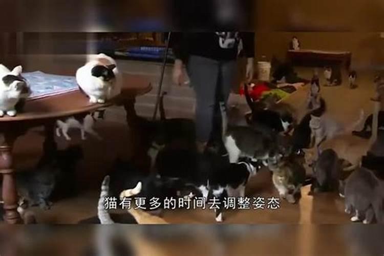 跪求会看香的高人指点一下,谢谢了……