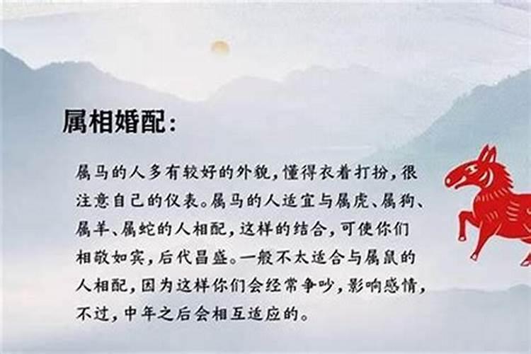 请问本命年是36,还是37岁,在线等,谢了