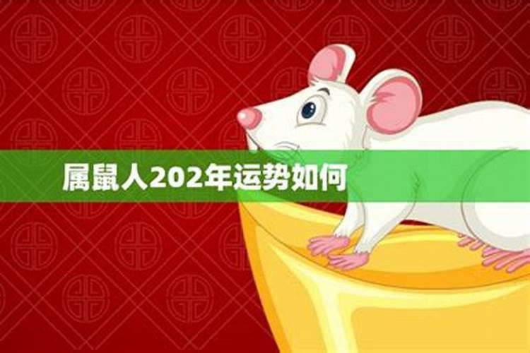 1984年属鼠女2025年运势每月运势