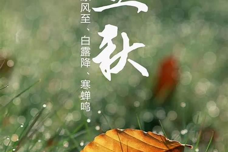 立秋有什么风俗