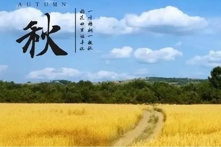 2023立秋下雨好不好 立秋下雨好还是天晴好