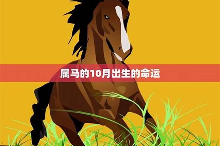 属猪和属羊的合不合财