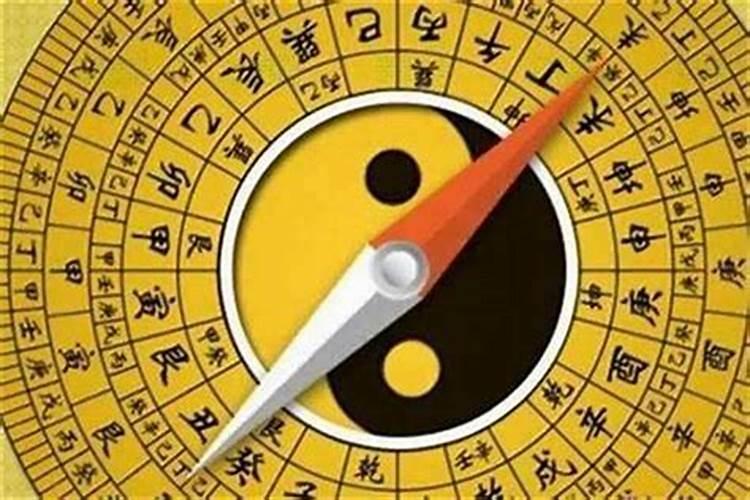 属龙和属猪千万不能在一起