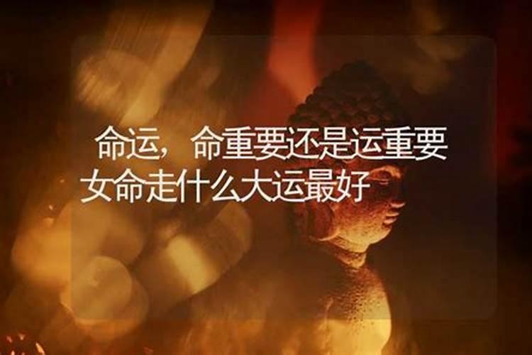 2025年属羊的犯太岁吗