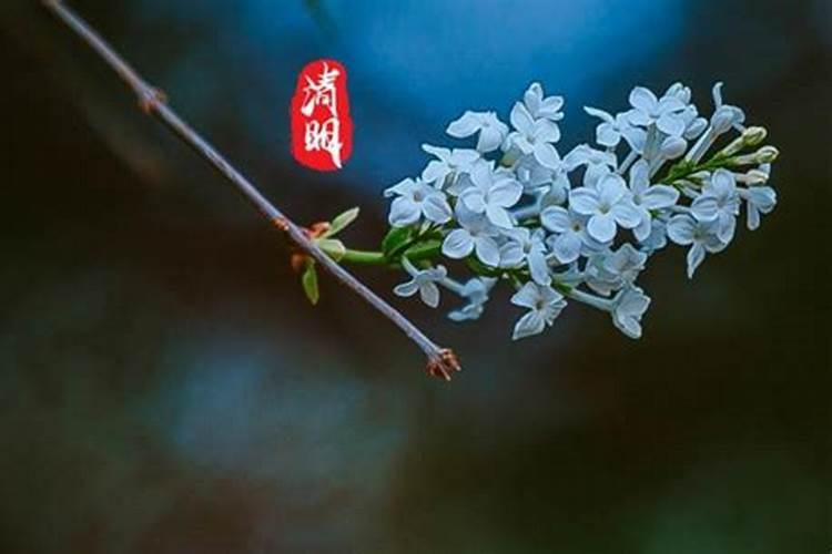 本命年犯太岁可以带朱砂嘛