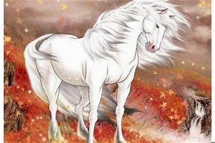84年腊月初八是什么星座？