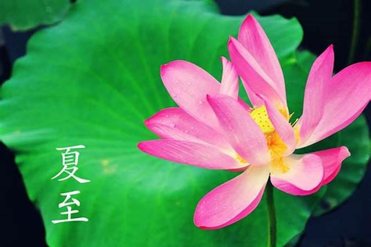 夏至几号到几号