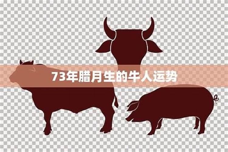 八字算是不是正缘 结婚不一定正缘？