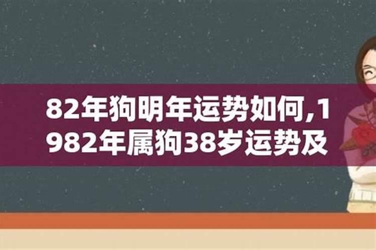 1982属狗走大运在哪一年2024