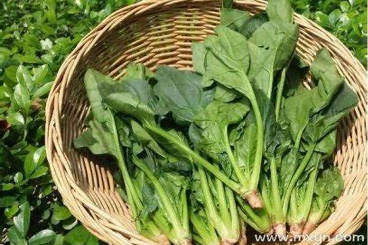 梦见别人骑自行车寓意着什么