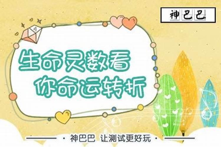 生命灵数看12生肖一生运势旺衰
