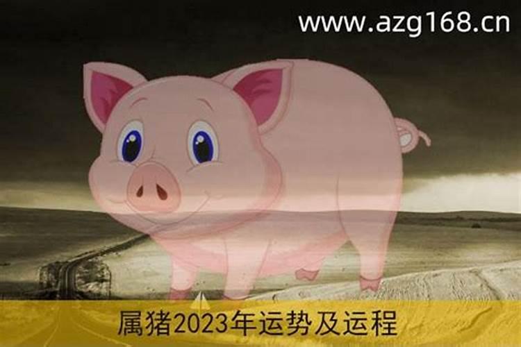83年属猪男2025年每个月的运势