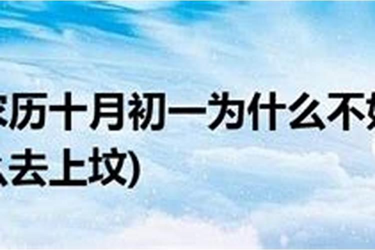 每年的三月十五日是什么日