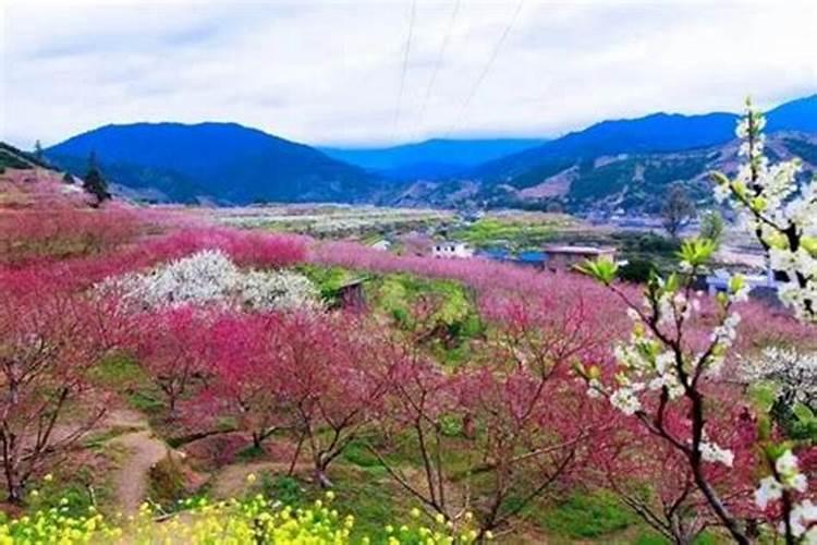 泰山为什么不让小孩去,泰山娃娃能不能爬泰山