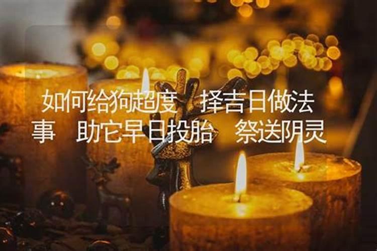 牛年犯冲的属相有哪几个,属牛冲什么生肖