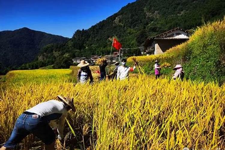 中秋节到哪个朝代才成为固定节日？