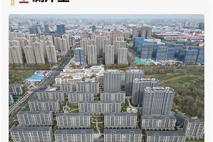 2025属兔人的全年运势如何