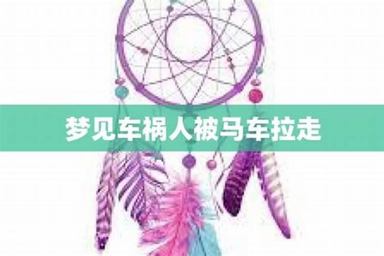 梦见兄弟姐妹聚会的预兆
