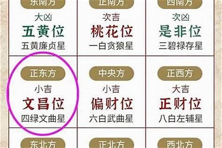 属马的后半生命运很惨吗