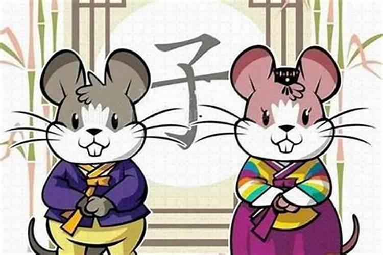 男属猪女属鼠在一起婚姻怎样!