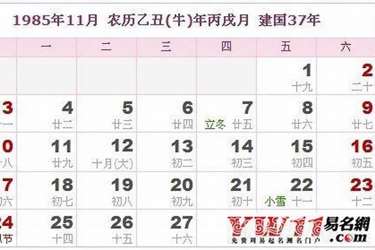 男,1985年农历11月16日啥命,求专家解答!