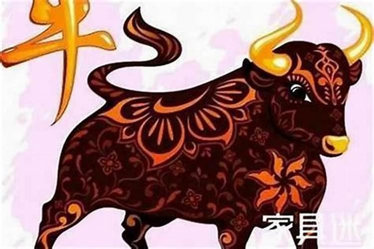 本命年犯太岁如何化解