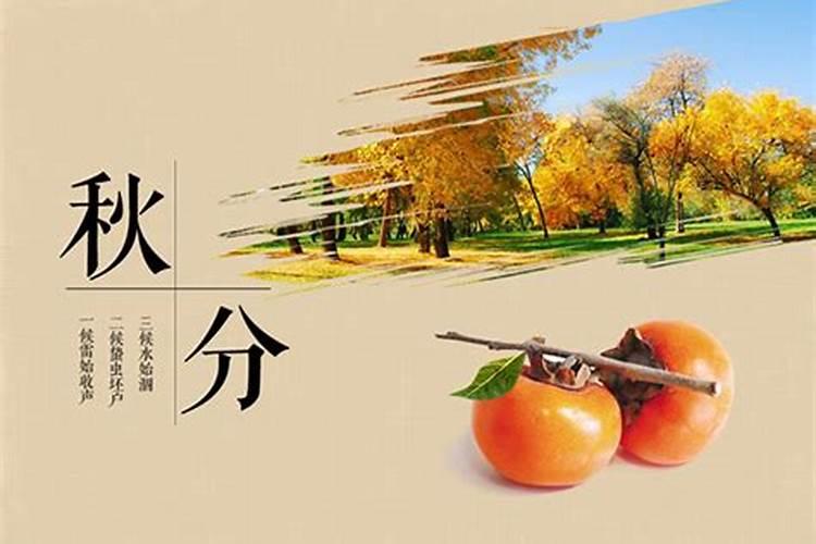 梦见活人躺进棺材里的预兆