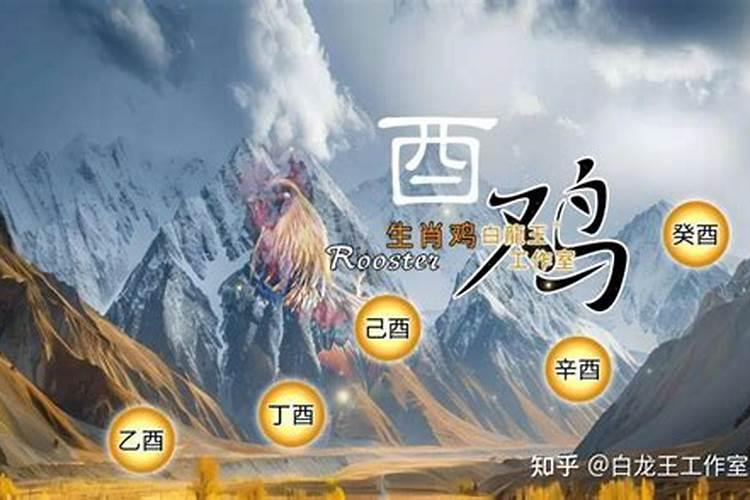 2025属鸡今年有一难 属鸡人2025年综合运势