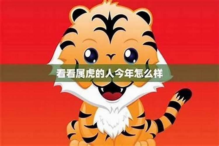 2025年属虎人的全年运势如何