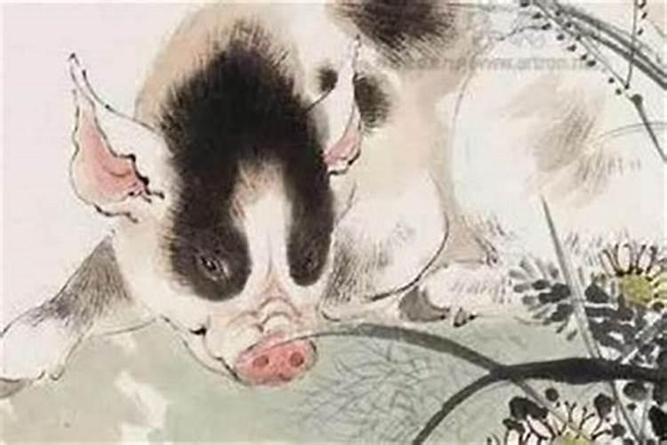 犯太岁是什么意思？