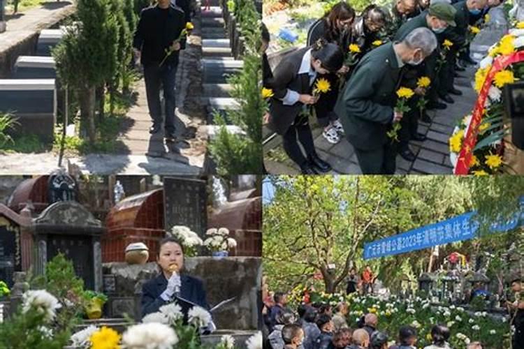结婚想挑个好日子,农历 男85年十月初八 女88年七月初四,谁会算下吉日...