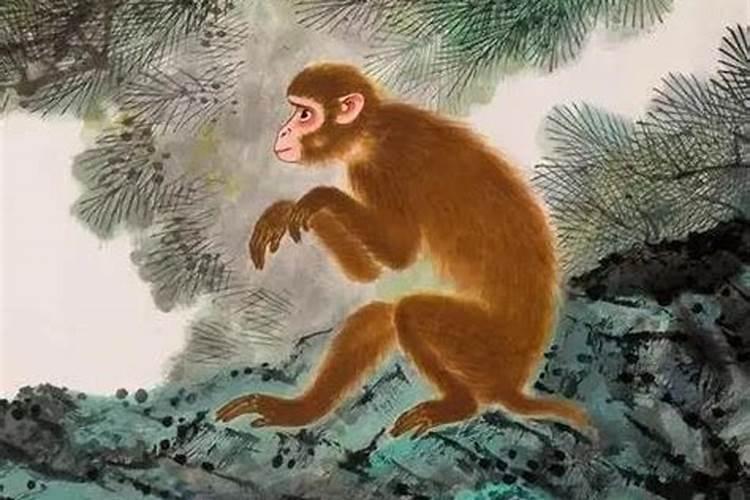 2025刑太岁怎么化解