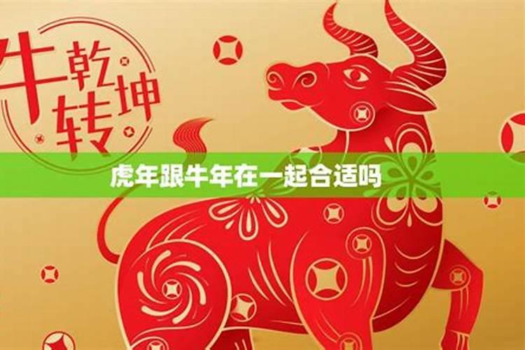 虎年生人和牛年生人相克吗？