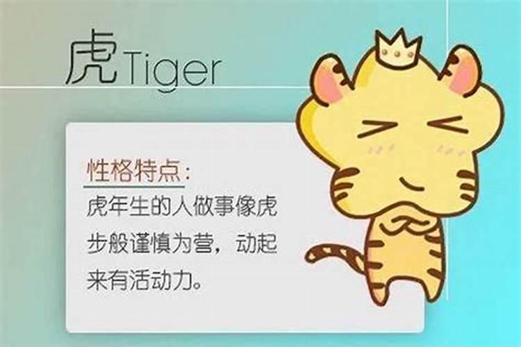 1997和1998八字合不合,1997年属牛的男的和1998年属虎的女