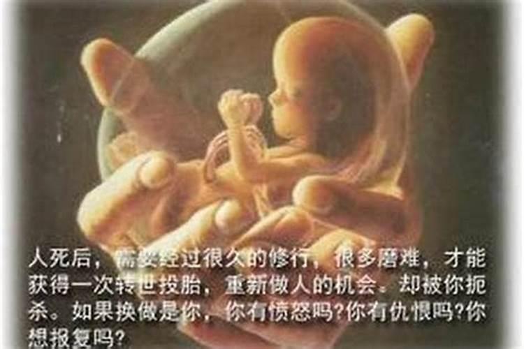 79年属羊女2025年蛇年运势如何
